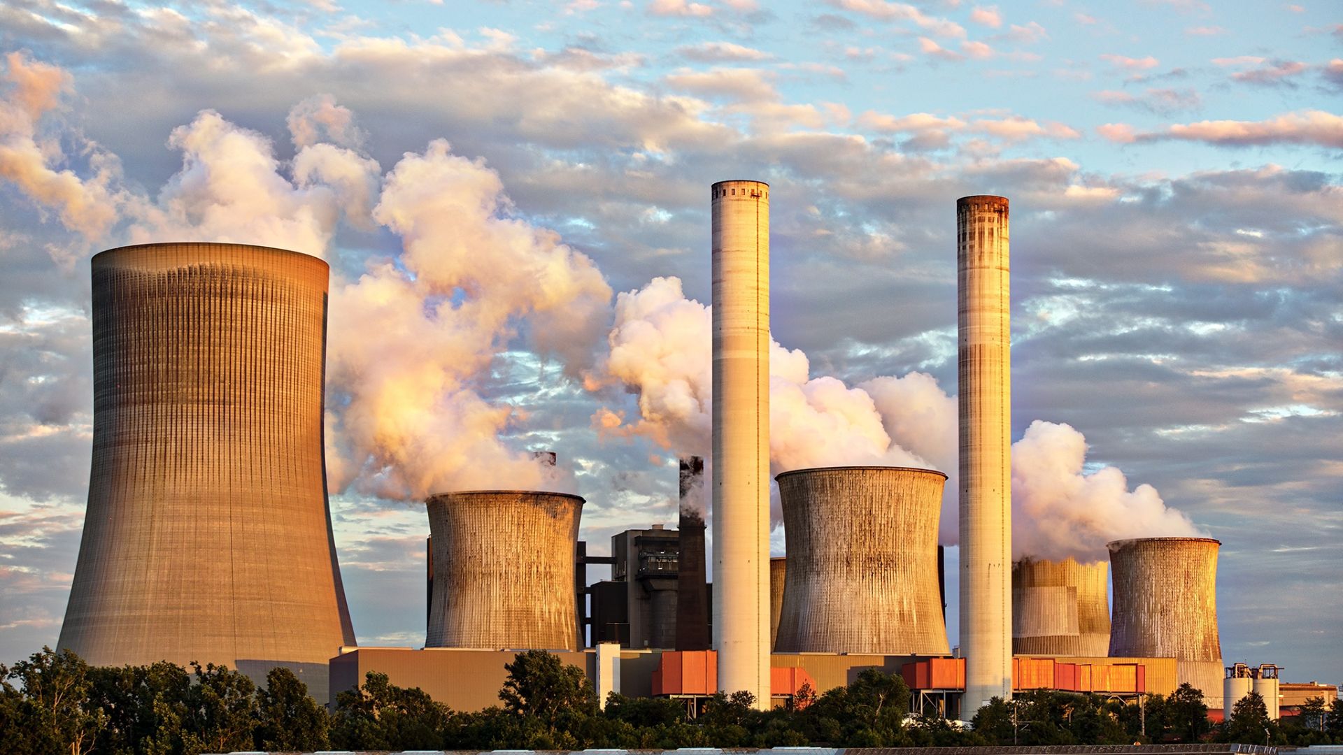 Large Enterprises
